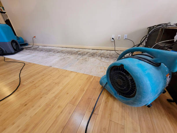 Professional Flood Damage Cleanup technician working in Parker, AZ